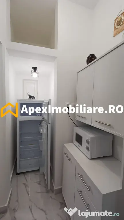 Apartament 2 camere de inchiriat Cismigiu București | ApexI