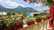 Pensiune / Casă de vacanță de vânzare în Lepșa, 