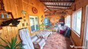 Pensiune / Casă de vacanță de vânzare în Lepșa, 
