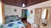 Pensiune / Casă de vacanță de vânzare în Lepșa, 