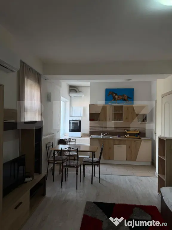 Apartament cu o camera si terasa, curte comuna, Zona Steaua