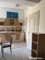 Apartament cu o camera si terasa, curte comuna, Zona Steaua 