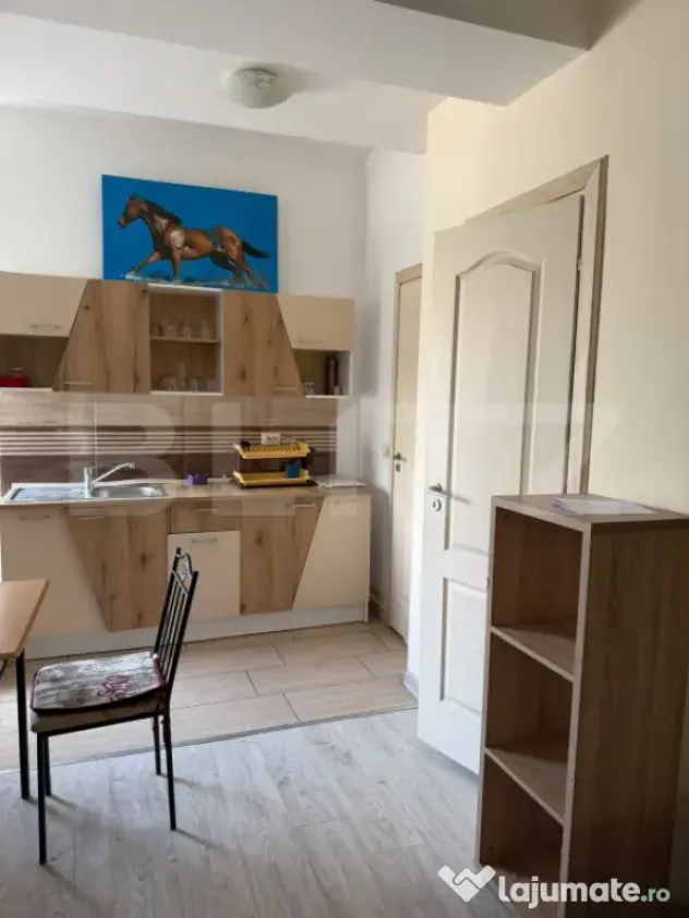 Apartament cu o camera si terasa, curte comuna, Zona Steaua