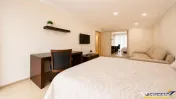 Apartament tip studio, structura decomandata, Urban Coresi,