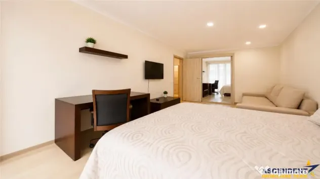 Apartament tip studio, structura decomandata, Urban Coresi,