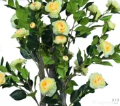 PLANTĂ ARTIFICIALĂ CAMELIE ÎN GHIVECI  130 CM 