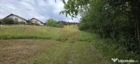 Teren de vanzare in Campina, Muscel 