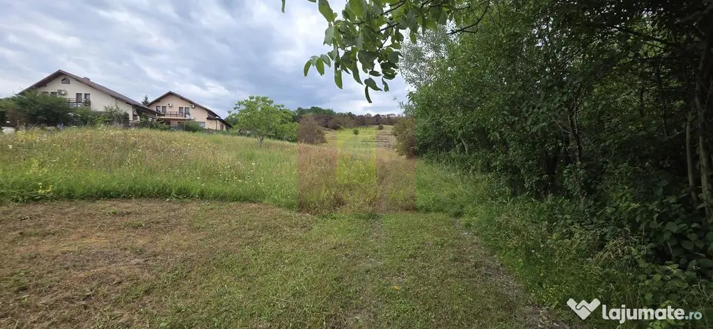 Teren de vanzare in Campina, Muscel - Campina (Prahova)