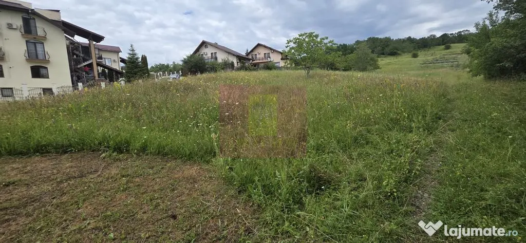 Teren de vanzare in Campina, Muscel - Campina (Prahova)