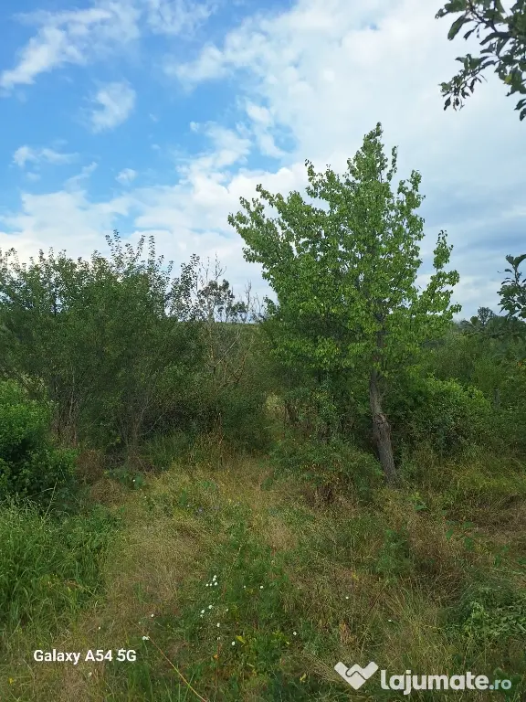 Casă bătrânească plus teren