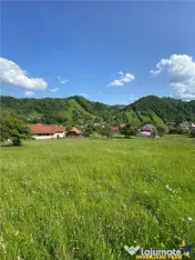 FILM! 1.450 mp intravilan, la DN, incantare peisagistica, Br