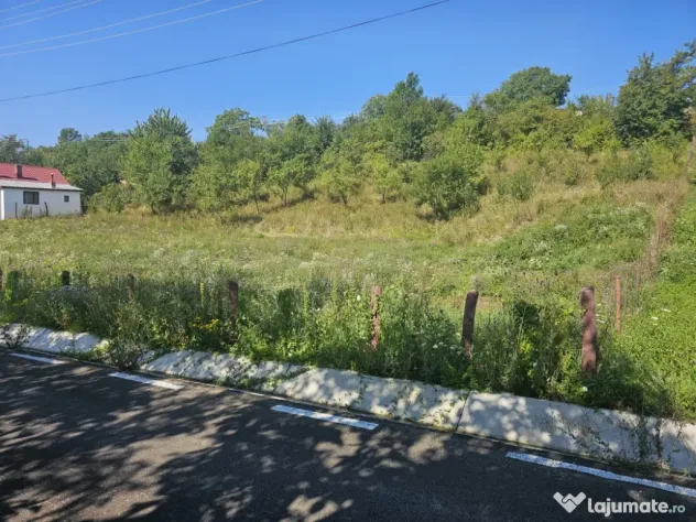 Vând loturi-intravilane!