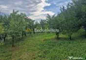 Teren intravilan 1400mp-Albota! 