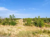 Parcele Teren Extravilan Livada si Pasune Lunca Corbului Arges