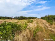 Parcele Teren Extravilan Livada si Pasune Lunca Corbului Arges