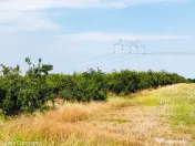 Parcele Teren Extravilan Livada si Pasune Lunca Corbului Arges