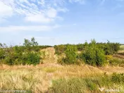Parcele Teren Extravilan Livada si Pasune Lunca Corbului Arges