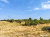 Parcele Teren Extravilan Livada si Pasune Lunca Corbului Arges