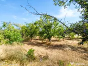 Parcele Teren Extravilan Livada si Pasune Lunca Corbului Arges