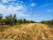 Parcele Teren Extravilan Livada si Pasune Lunca Corbului Arges
