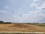 Teren intravilan de vanzare, 3000 mp in Gepiu, Bihor