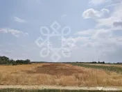 Teren intravilan de vanzare, 3000 mp in Gepiu, Bihor 