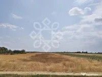 Teren intravilan de vanzare, 3000 mp in Gepiu, Bihor 