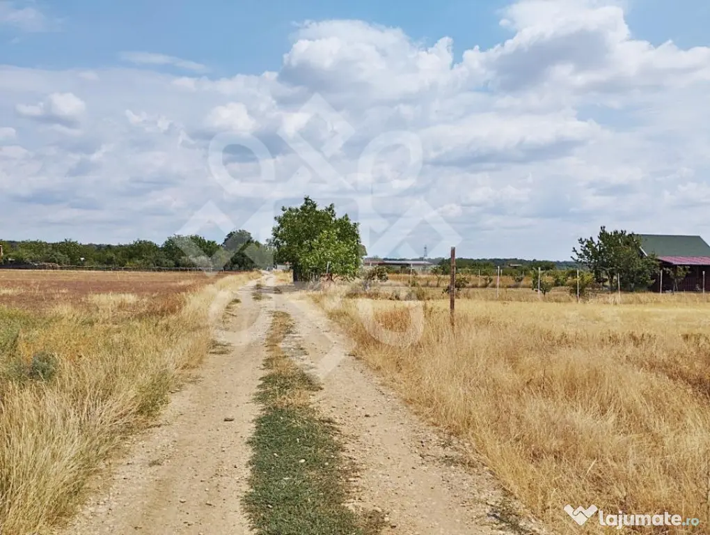 Teren intravilan de vanzare, 3000 mp in Gepiu, Bihor