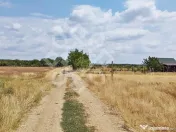 Teren intravilan de vanzare, 3000 mp in Gepiu, Bihor 