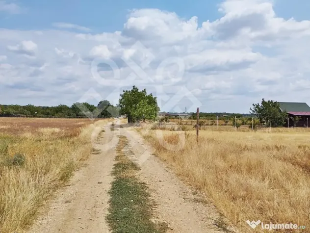 Teren intravilan de vanzare, 3000 mp in Gepiu, Bihor