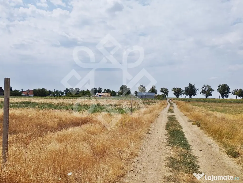 Teren intravilan de vanzare, 3000 mp in Gepiu, Bihor