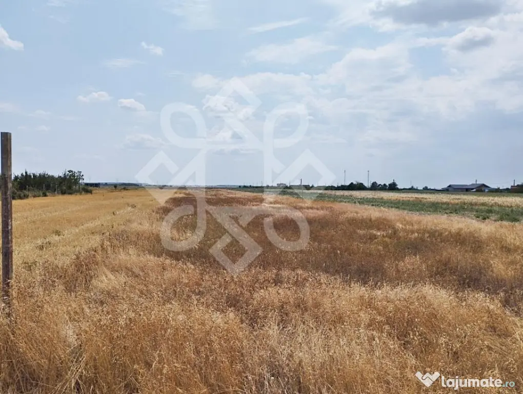 Teren intravilan de vanzare, 3000 mp in Gepiu, Bihor