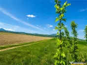 Oportunitate investitie! Teren 47.577 mp, Codlea . Ghimbav,