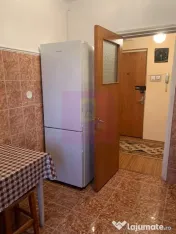 Apartament cu vedere panoramica catre Parcul Plumbuita- C...