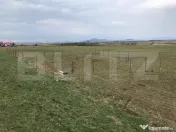 Teren intravilan 996 mp, Bârsei Brașov - priveliște Buceg 