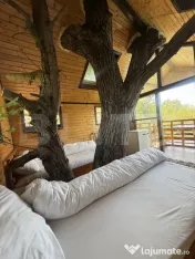 Proprietate de poveste cu piscină, ciubăr și căsuță î