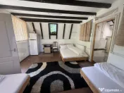 Proprietate de poveste cu piscină, ciubăr și căsuță î