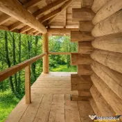 3.000mp de incantare montana cu cabana din lemn masiv, Zarne 