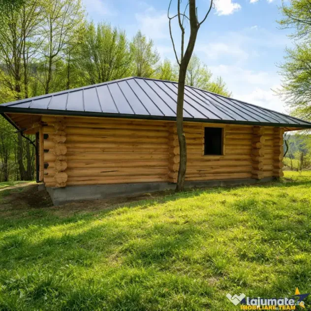 3.000mp de incantare montana cu cabana din lemn masiv, Zarne