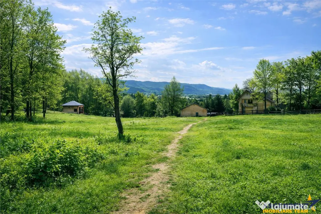 3.000mp de incantare montana cu cabana din lemn masiv, Zarne