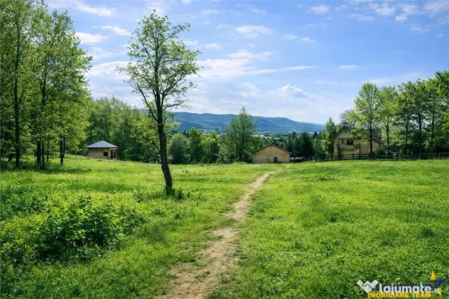 3.000mp de incantare montana cu cabana din lemn masiv, Zarne
