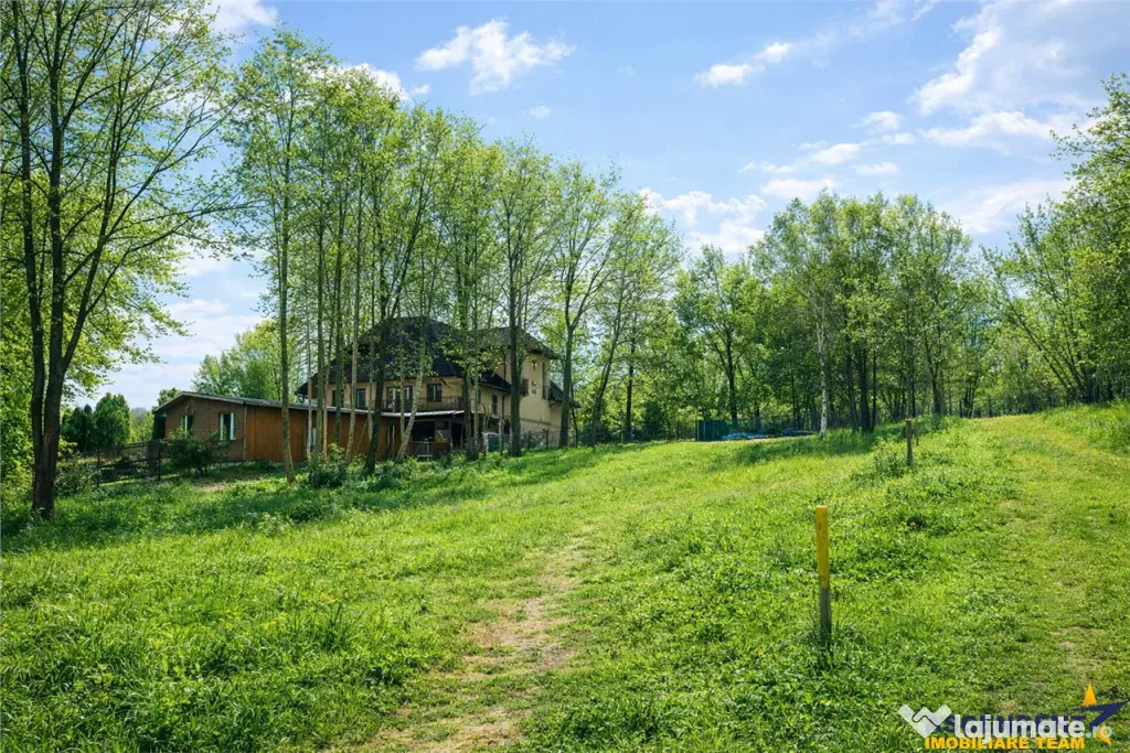 3.000mp de incantare montana cu cabana din lemn masiv, Zarne