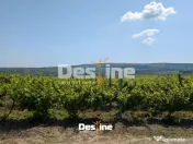 Bârnova - Teren Intravilan 974 Mp, utilitati, drum betonat