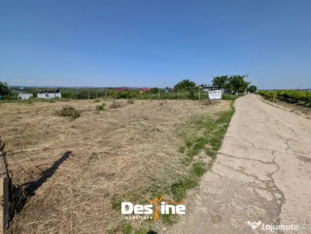 Bârnova - Teren Intravilan 974 Mp, utilitati, drum betonat