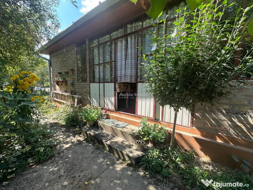 Bocsa Montana, Casa Cocheta de Vacanta sau investitie, Zona