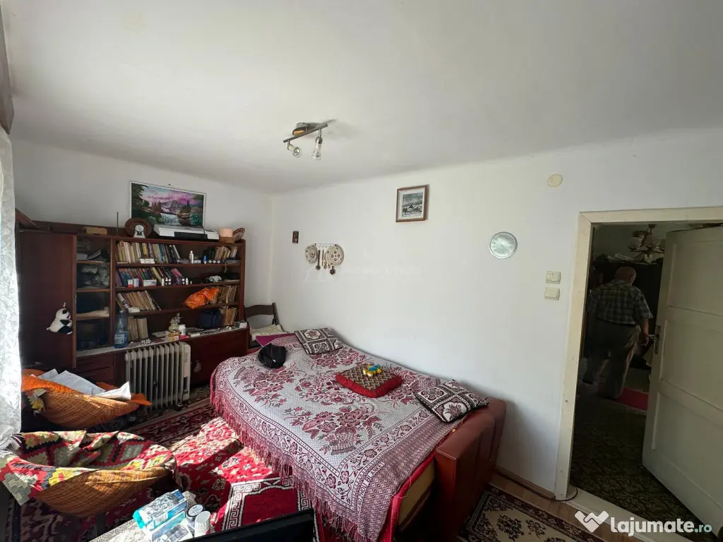 Bocsa Montana, Casa Cocheta de Vacanta sau investitie, Zona
