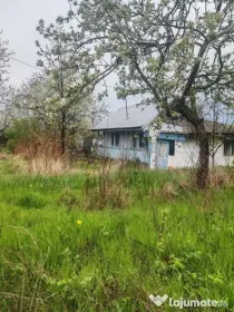Teren intravilan in suprafata de 3160 mp, Puscasi, Poiana...