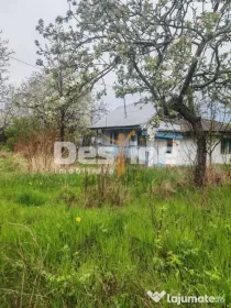 Teren intravilan in suprafata de 3160 mp, Puscasi, Poiana...