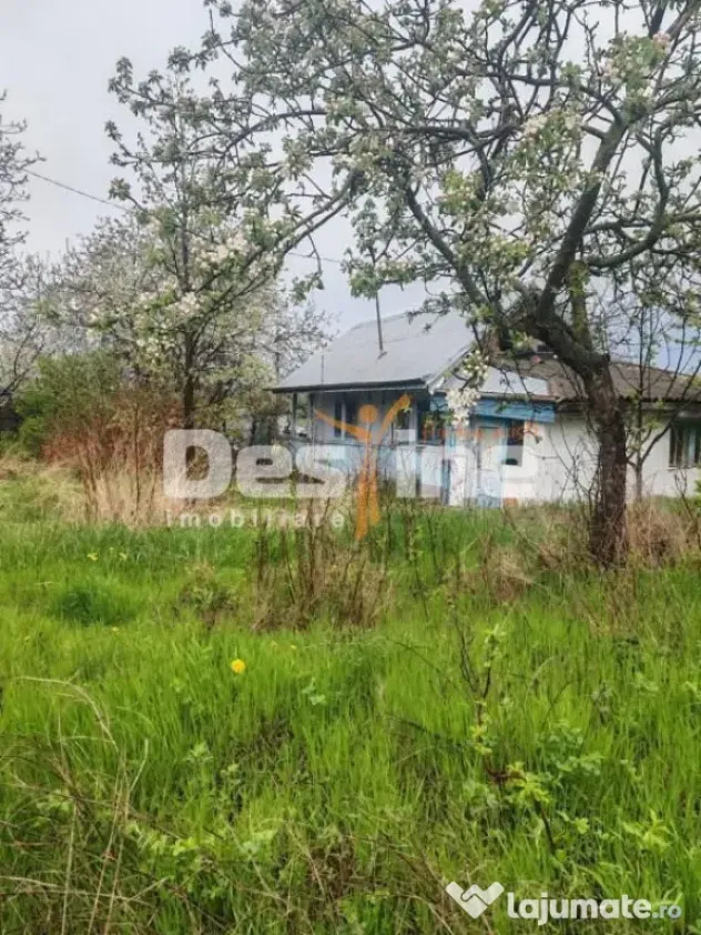 Teren intravilan in suprafata de 3160 mp, Puscasi, Poiana... - Poiana Lui Alexa (Vaslui)