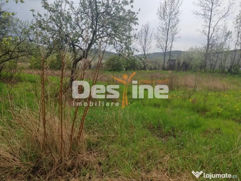 Teren intravilan in suprafata de 3160 mp, Puscasi, Poiana... - Poiana Lui Alexa (Vaslui)